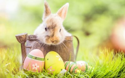 Happy Easter 2023 and office closure